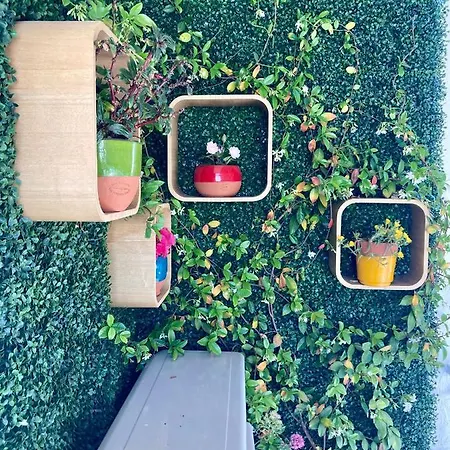 Cannes City B&B