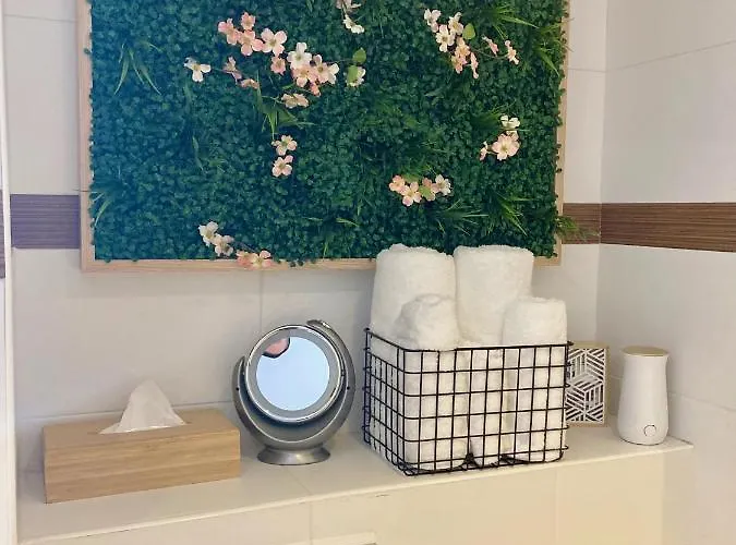 戛纳市住宿加早餐旅馆 4* 戛纳