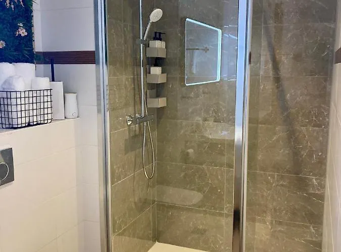 住宿加早餐酒店 戛纳市住宿加早餐旅馆 4*