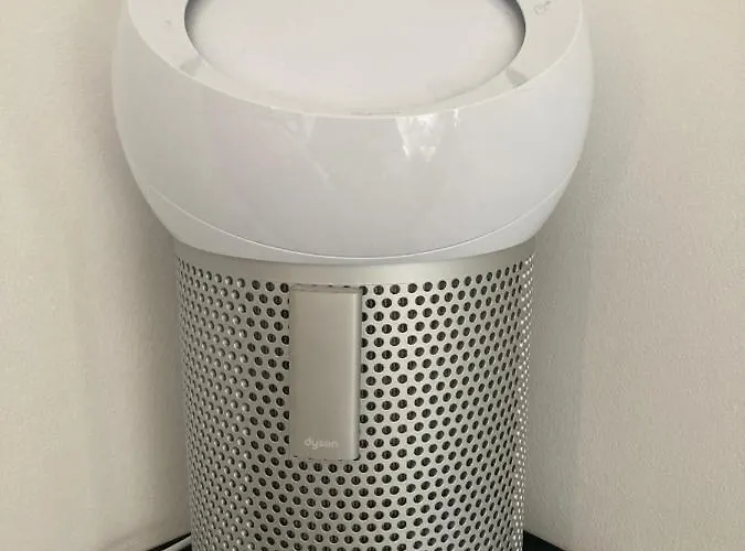 戛纳市住宿加早餐旅馆 4*