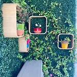 Cannes City B&B