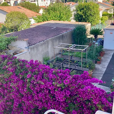 Cannes City B&B Couette-café 3*