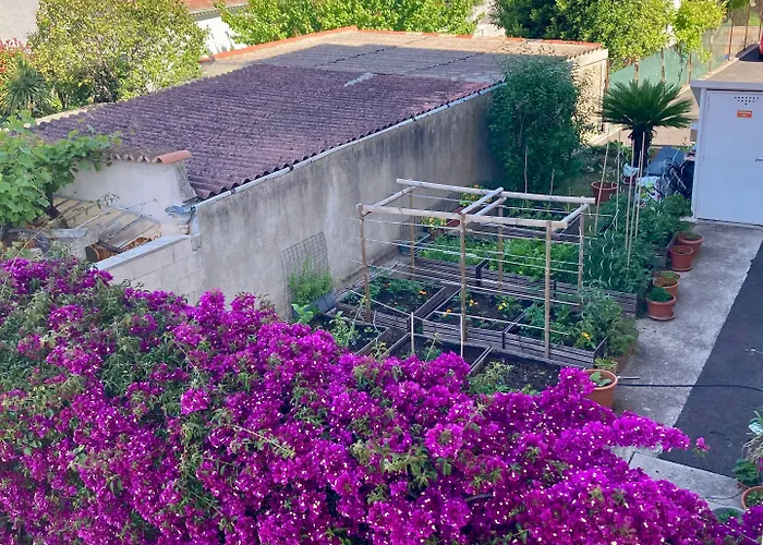 Cannes City B&B فندق مبيت وإفطار 3*